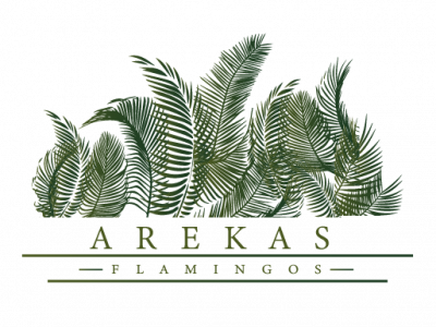 logo arekas-15