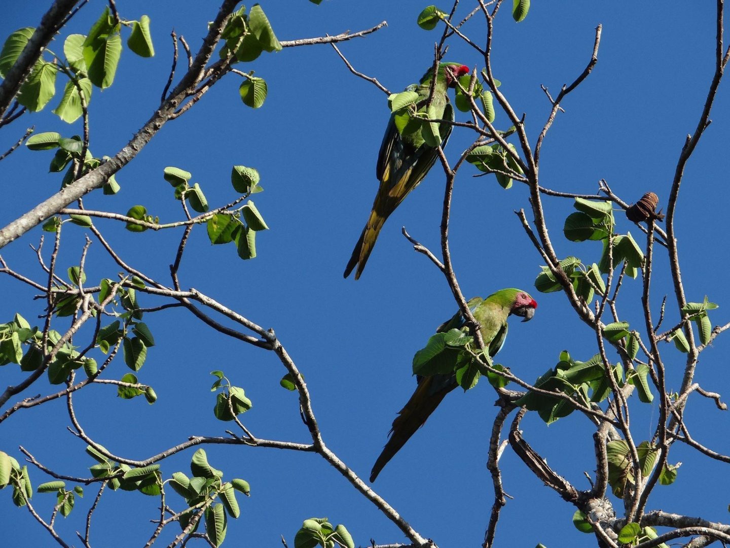 20201204042356125507000000-o