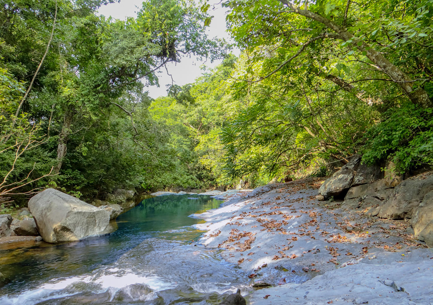 20201204042530872641000000-o