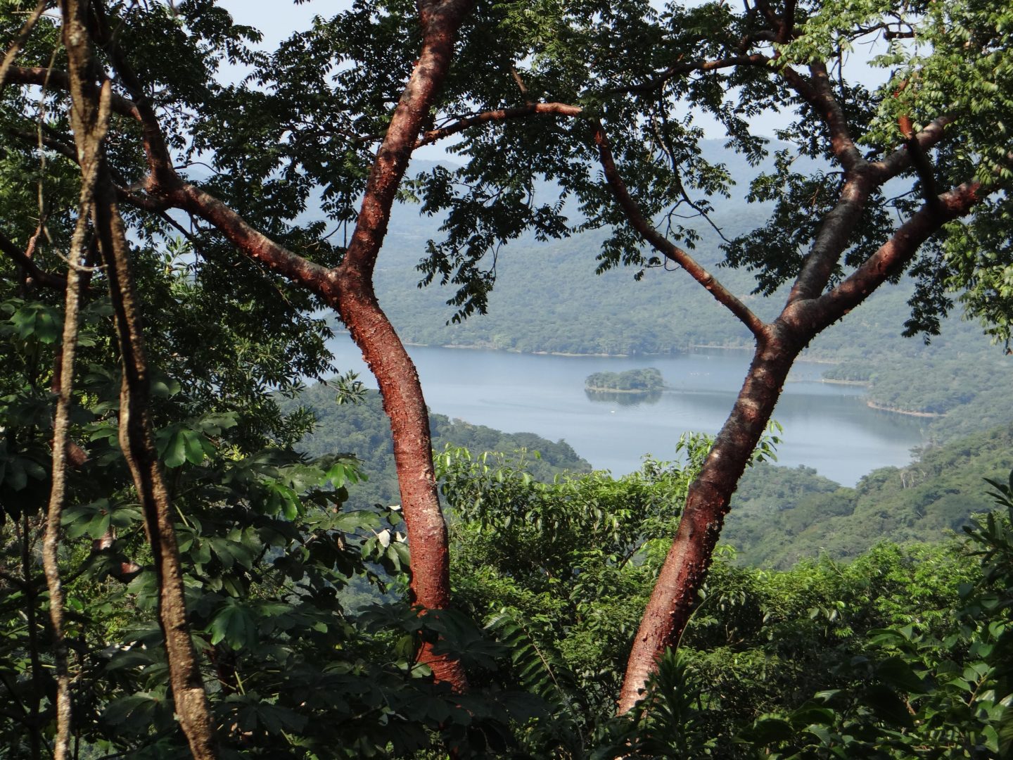 20201204042639028167000000-o