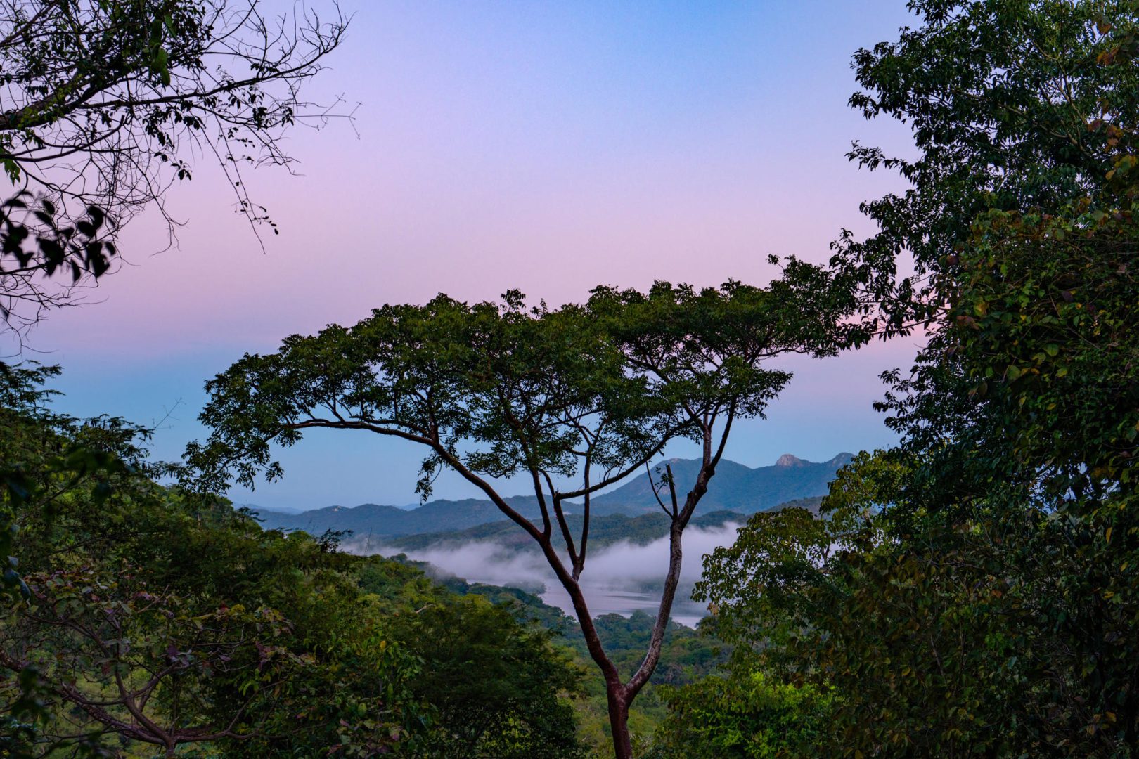 20201204042705487479000000-o