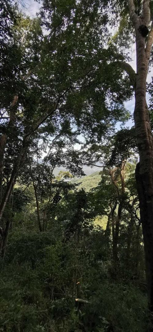 20201204042730218572000000-o