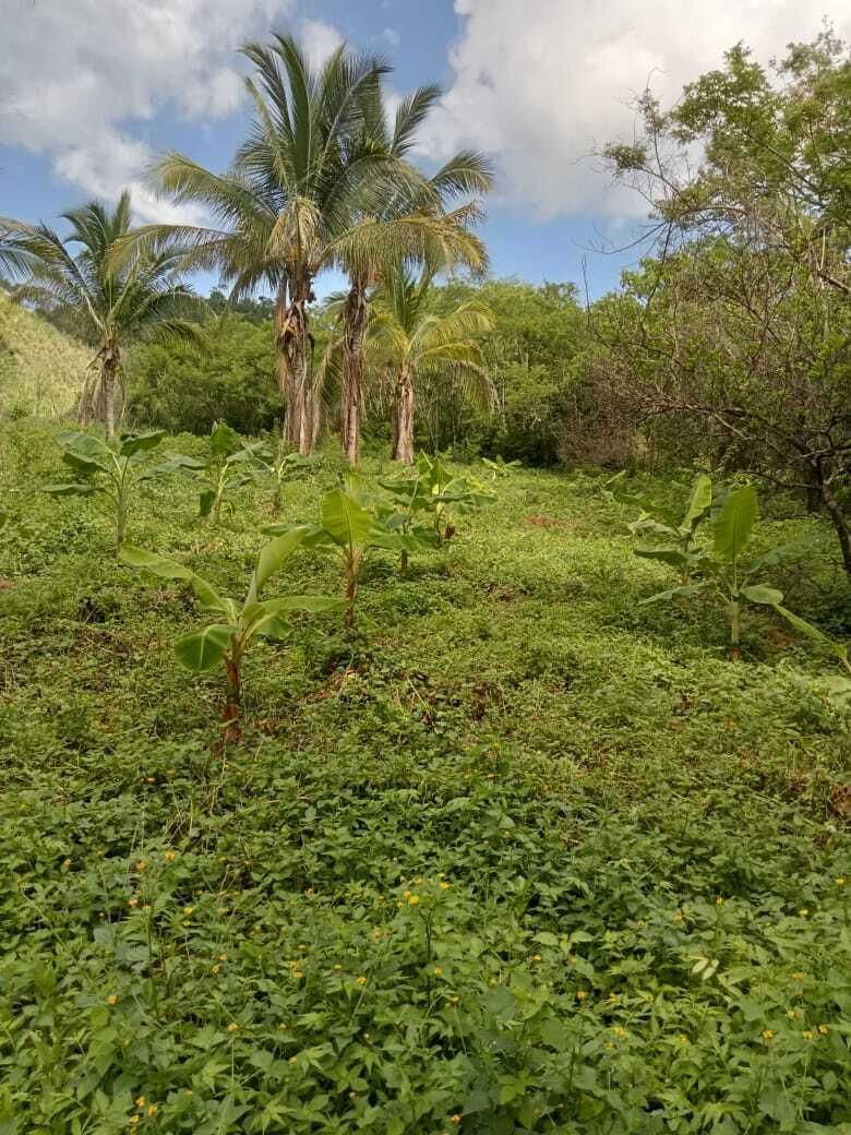 20221209150452001840000000-o