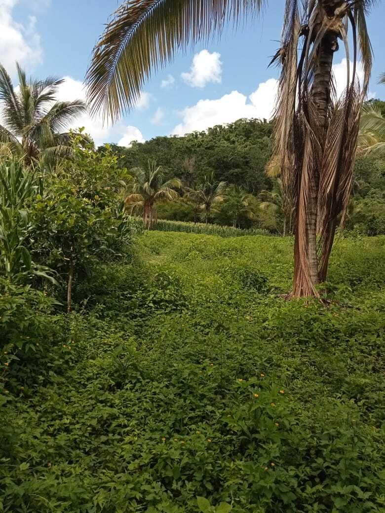 20221209151844238078000000-o