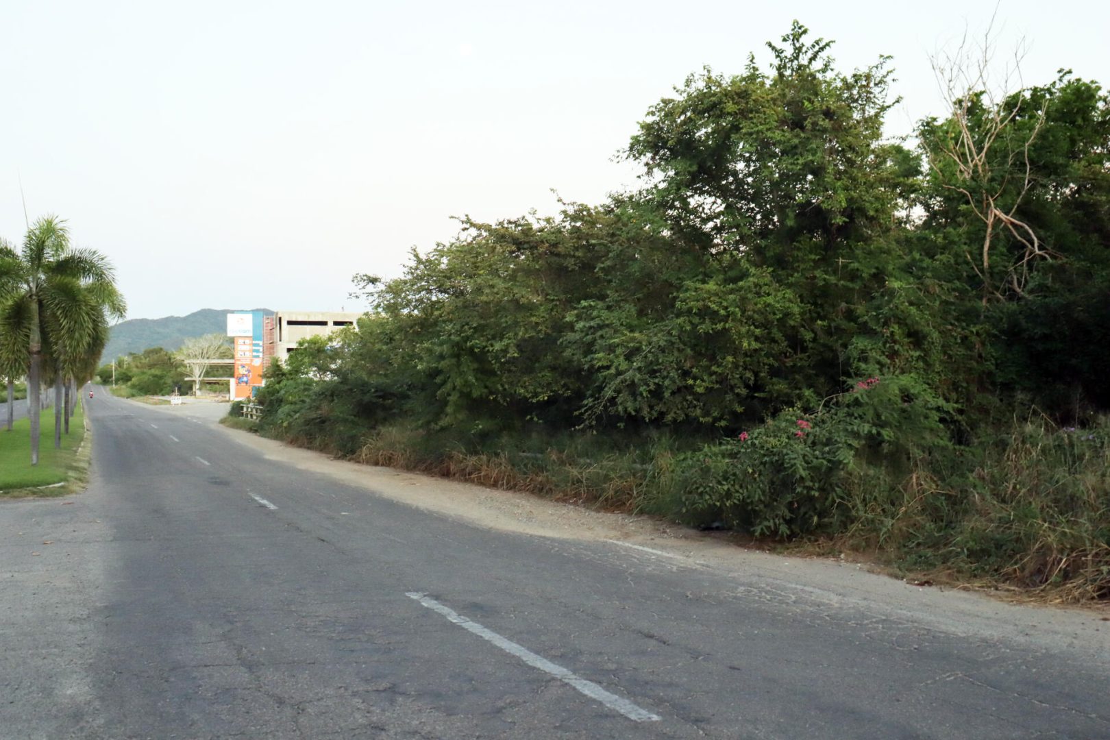 20231127182600389829000000-o