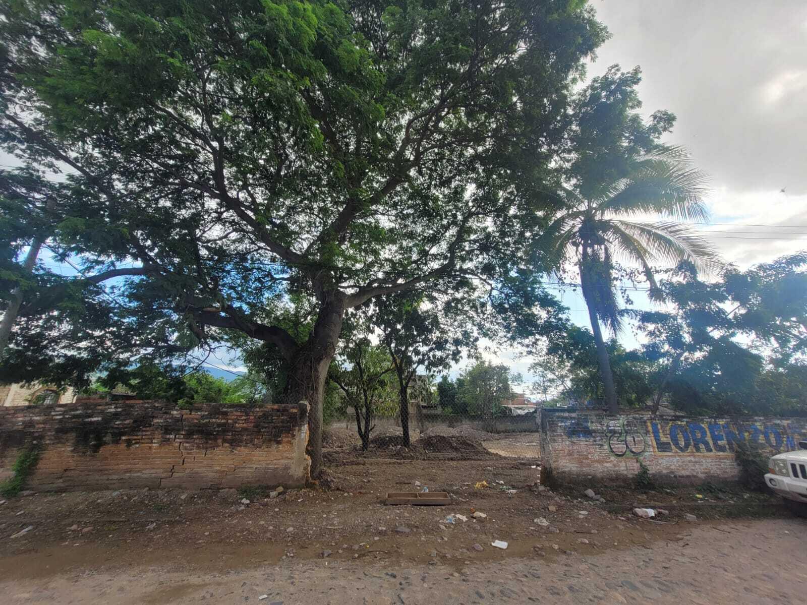 20231205181251148032000000-o