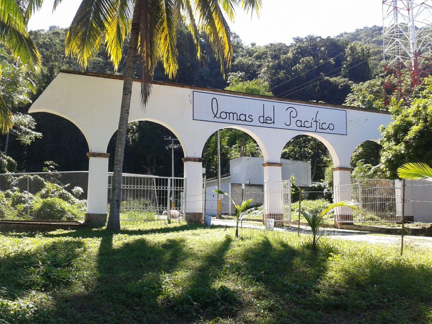 20231205181925246230000000-o