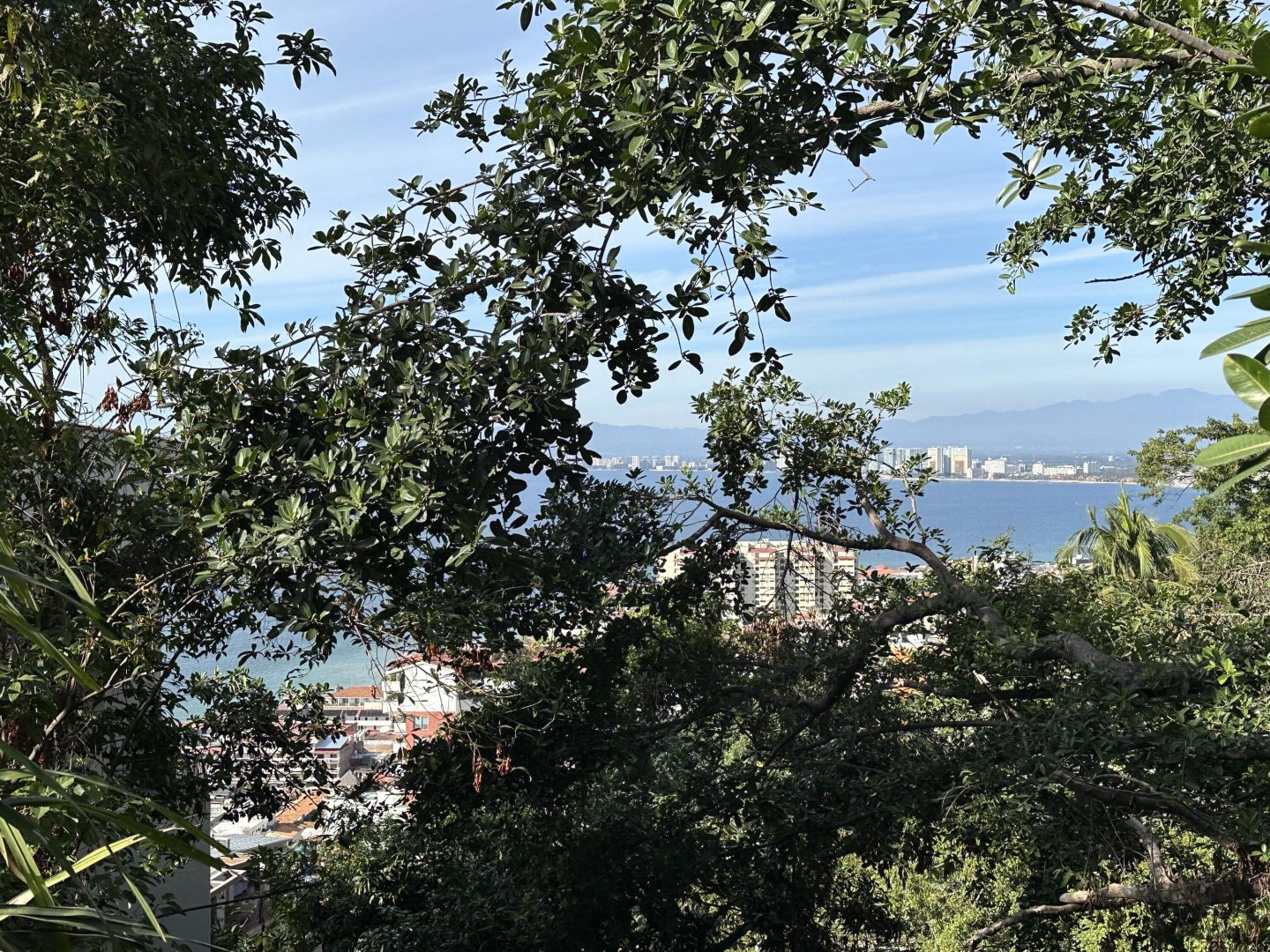 20240117012734452080000000-o