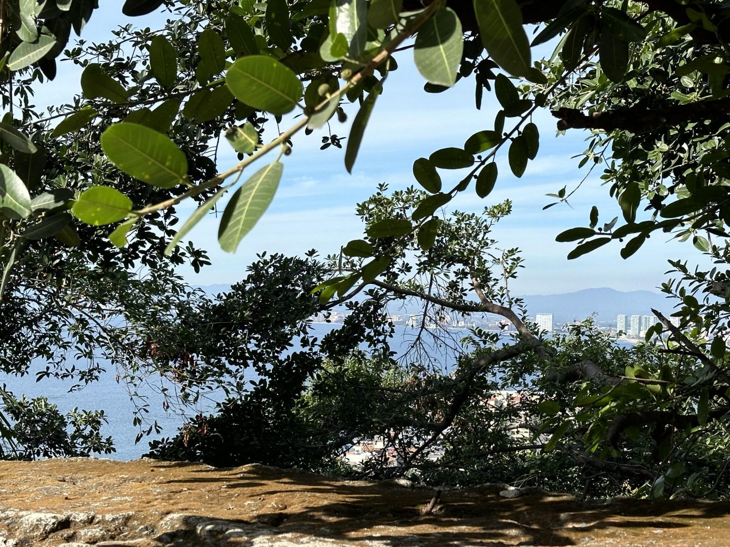 20240117012753736623000000-o