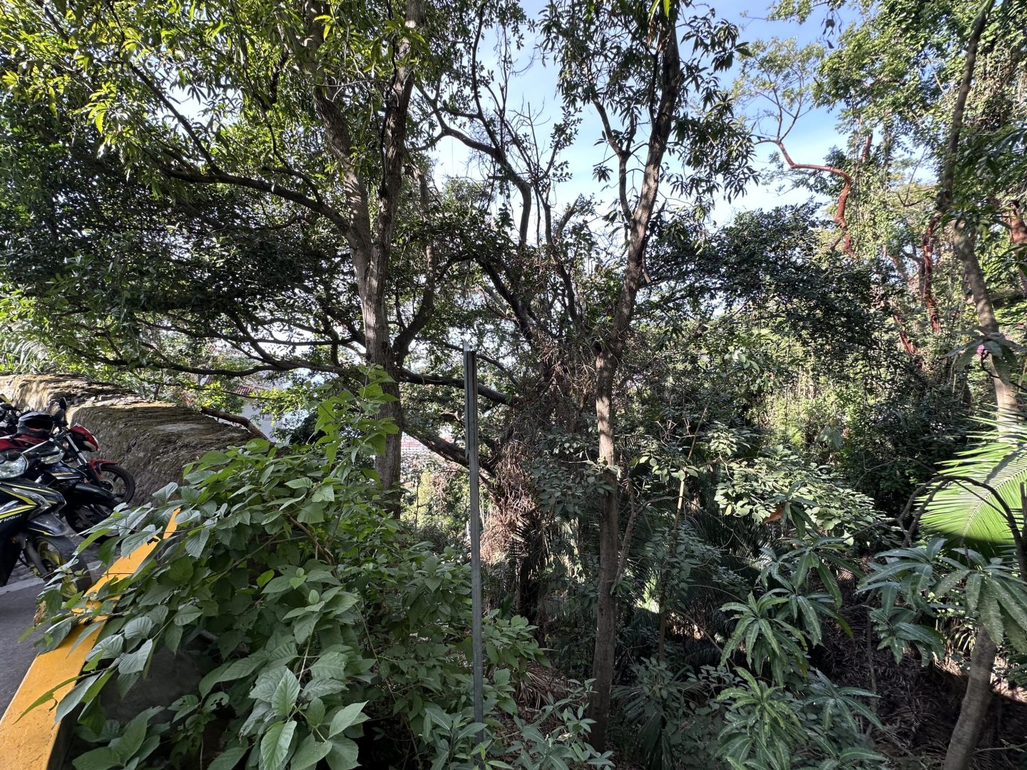 20240117012804711897000000-o