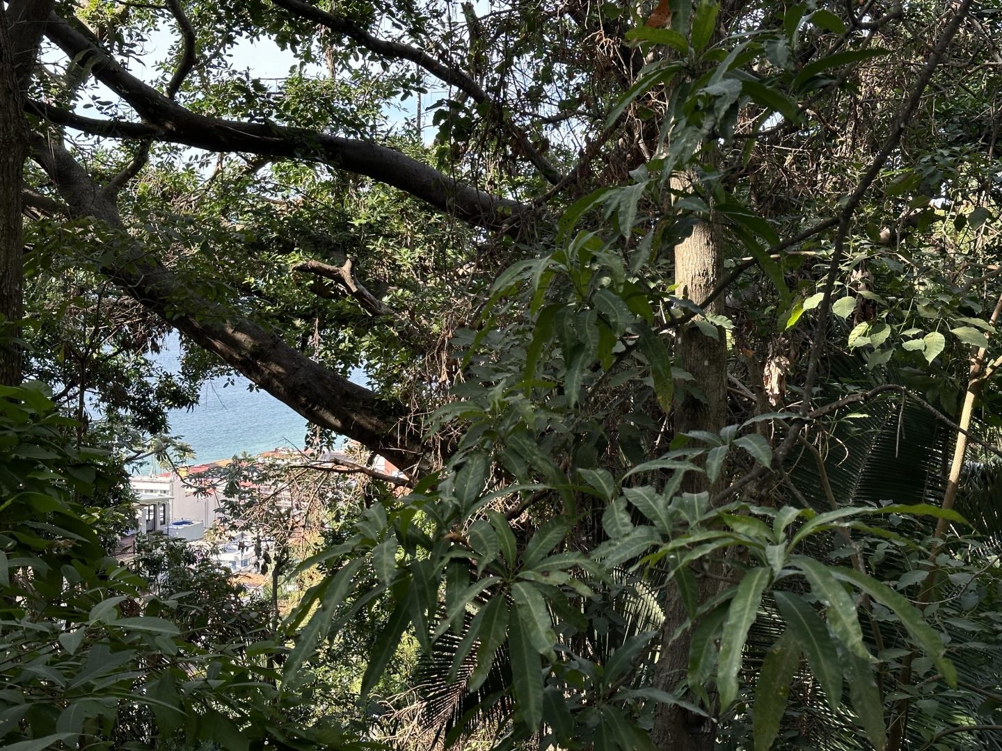 20240117012814648363000000-o