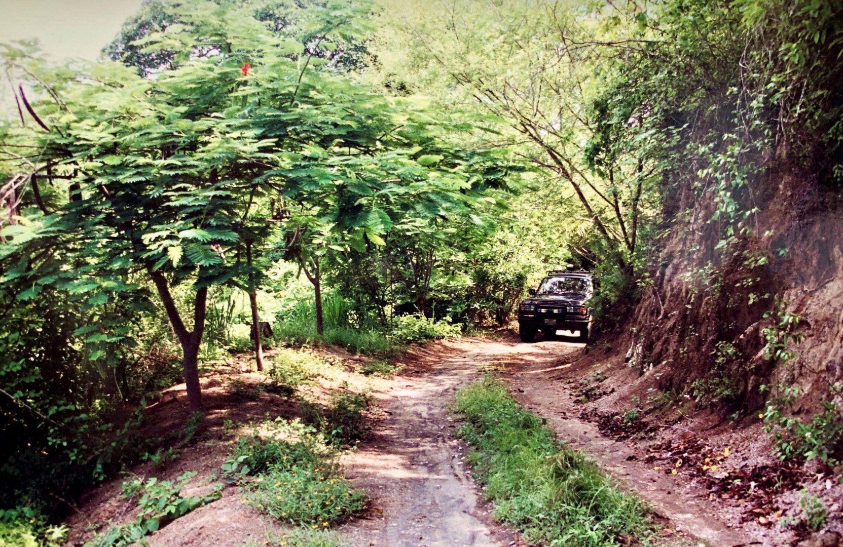 20240313185642430284000000-o