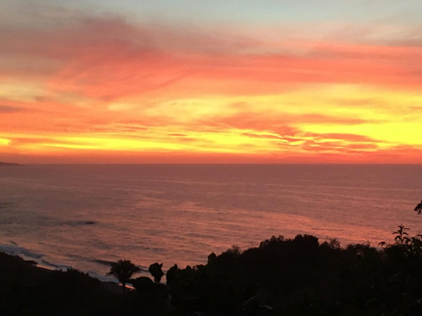 20240313185713491103000000-o