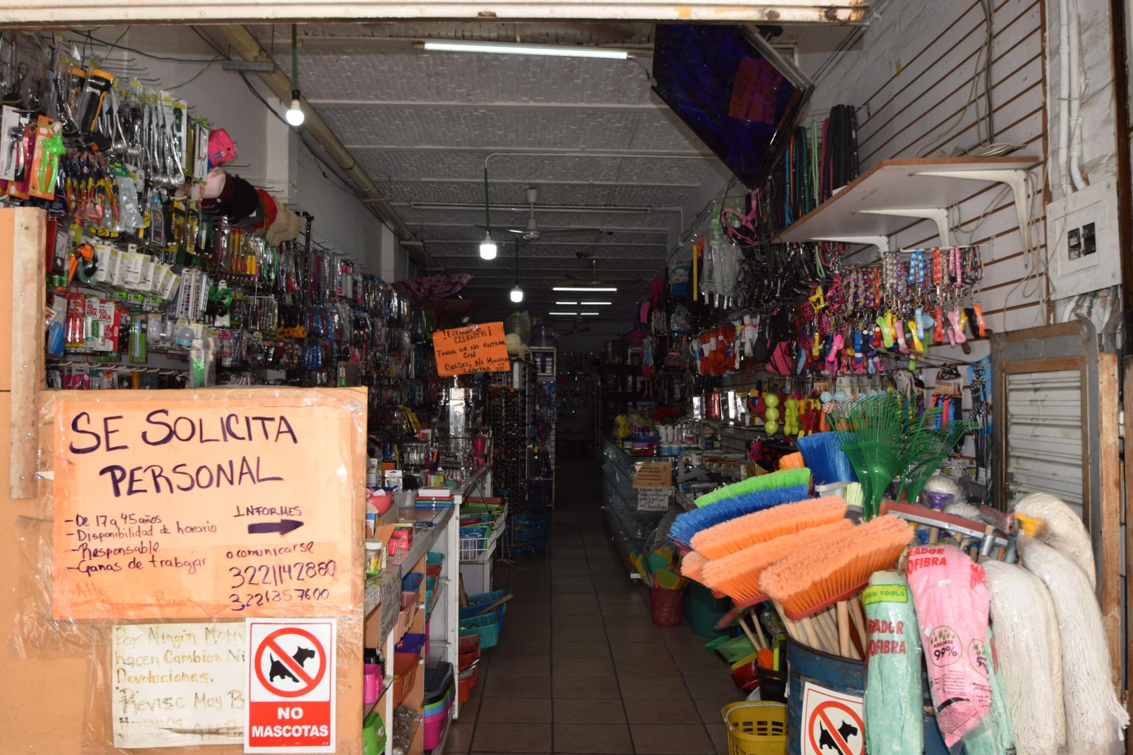 20240315194405073814000000-o