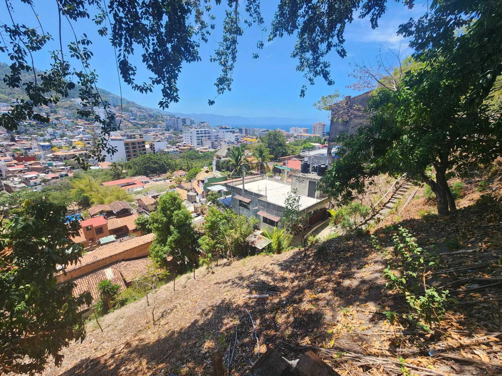 20240411203854675285000000-o