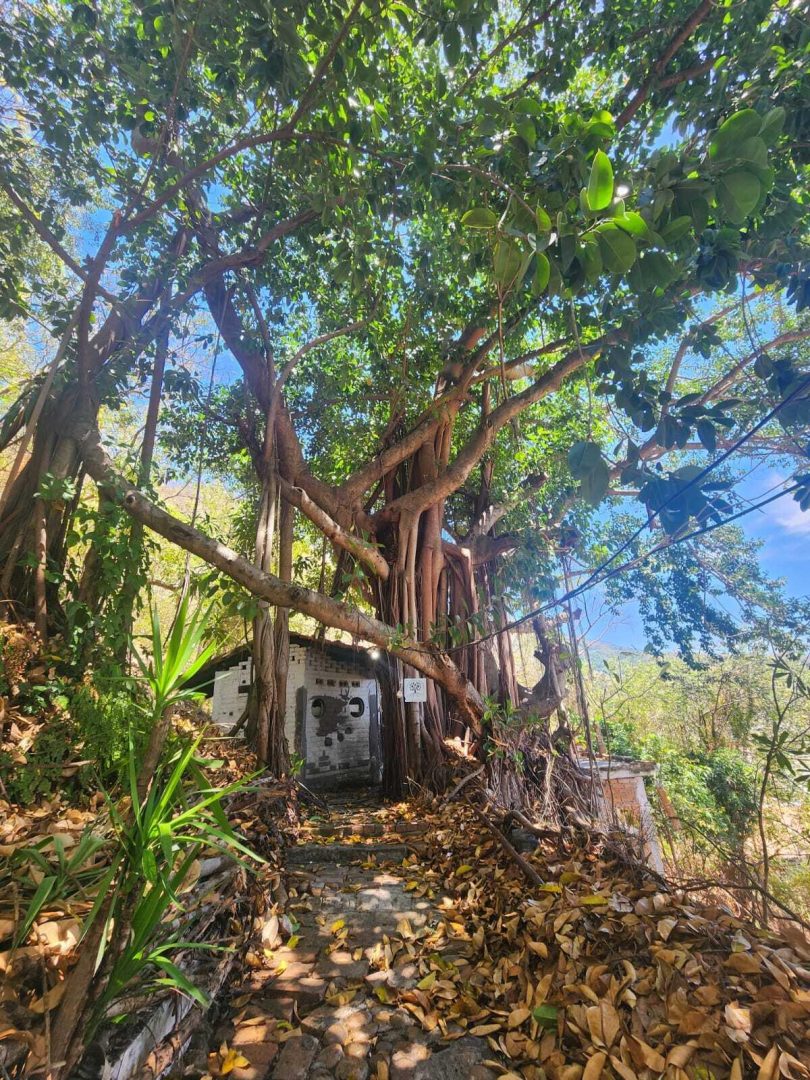 20240411203857531941000000-o