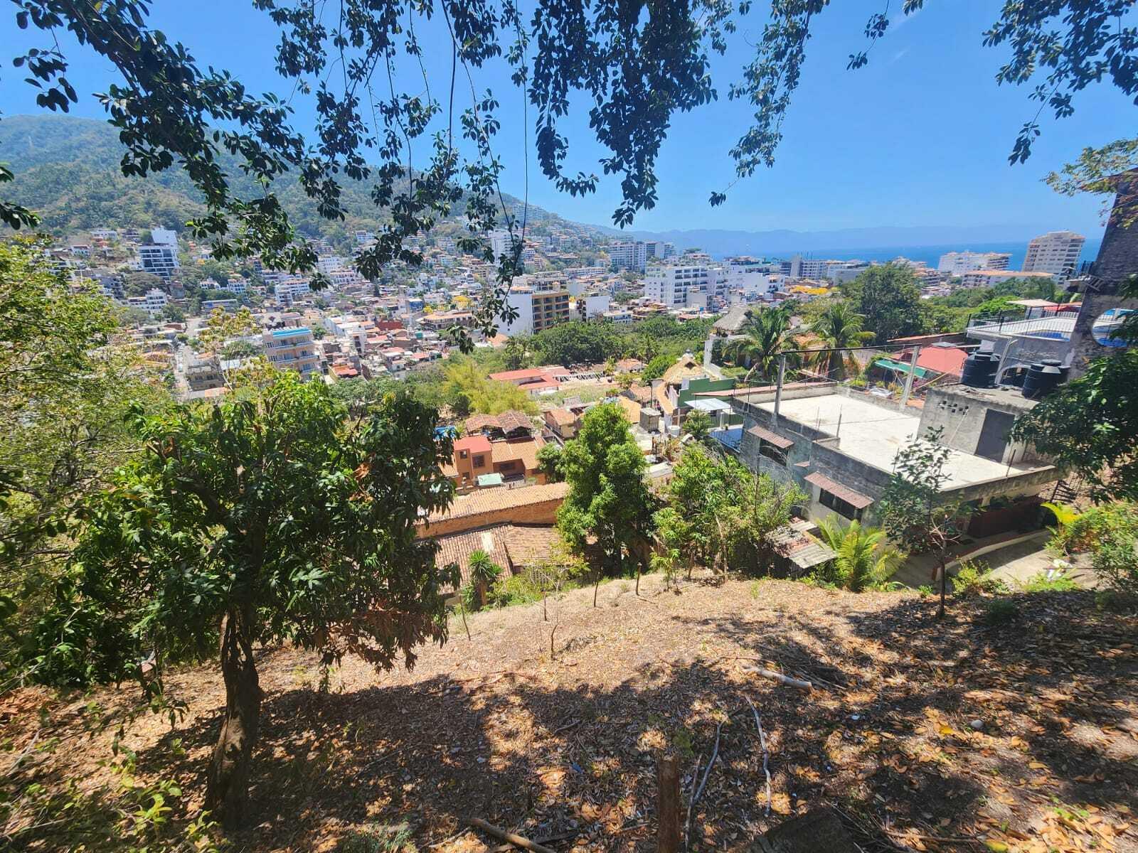 20240411203900355156000000-o