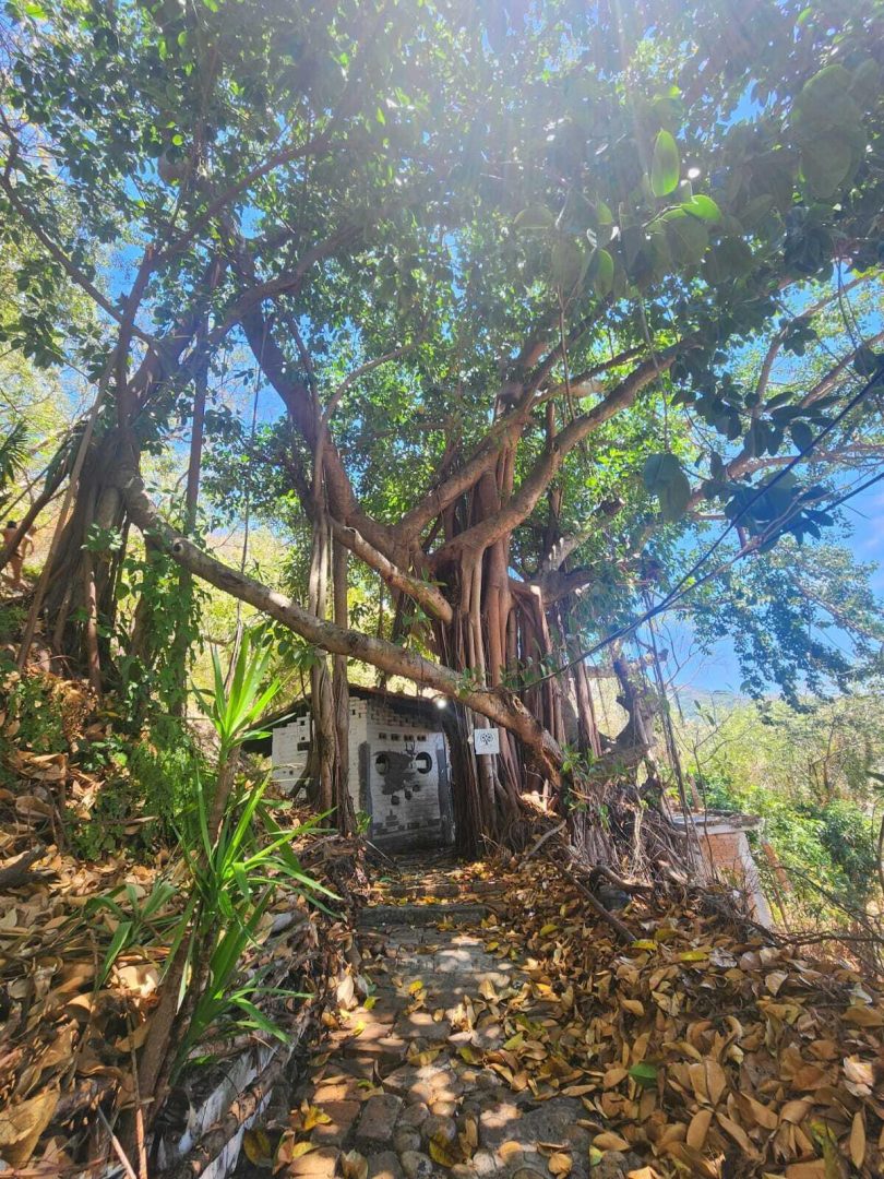 20240411203908016695000000-o