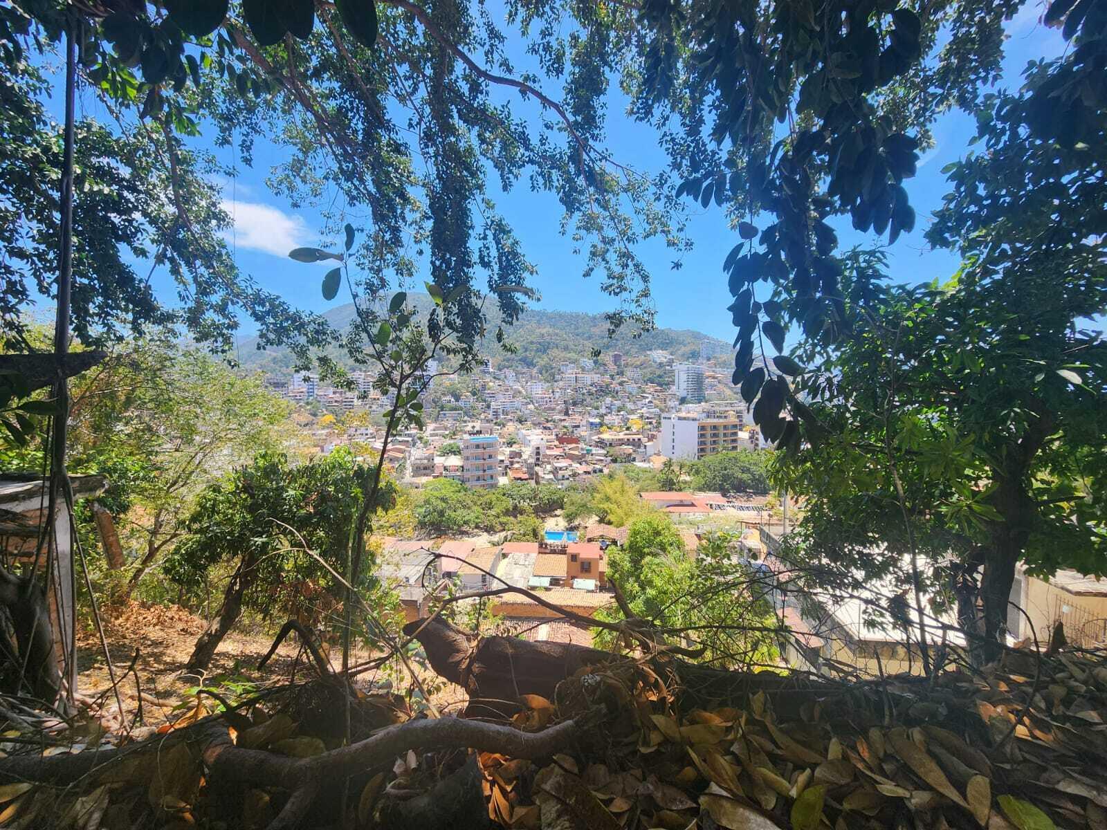 20240411203914187048000000-o