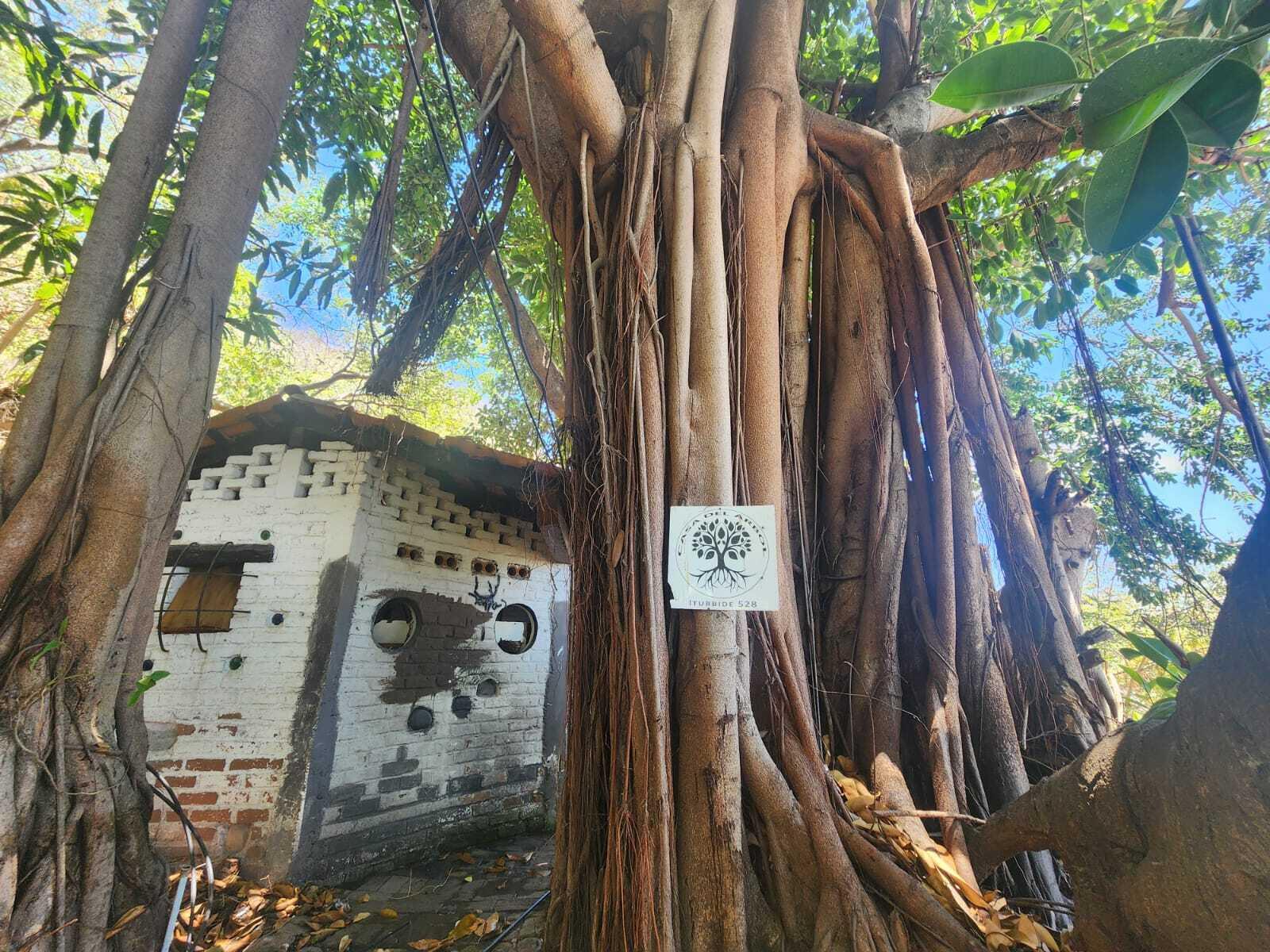 20240411203917002275000000-o