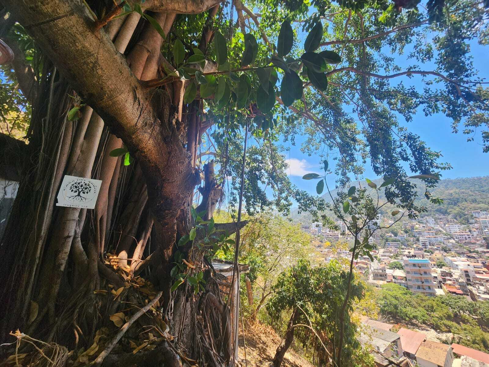 20240411203923475914000000-o