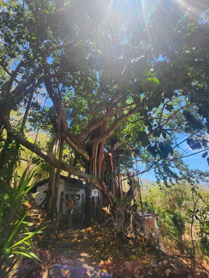 20240411203937755030000000-o