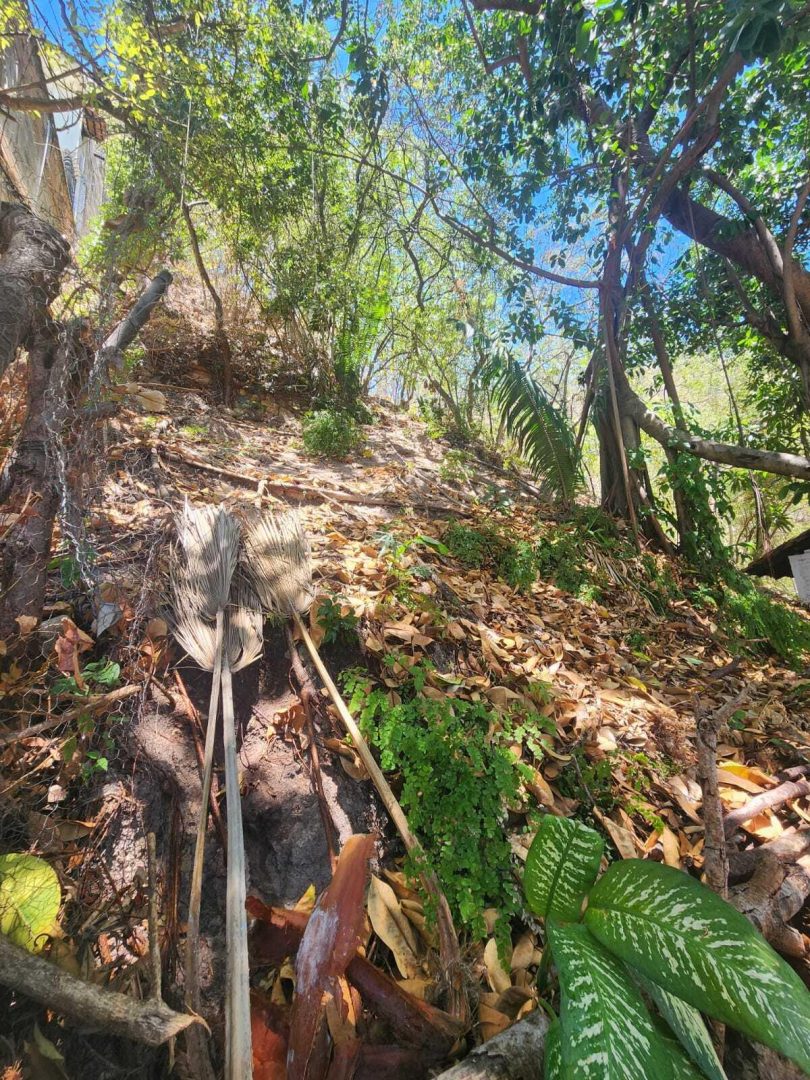 20240411204717724669000000-o