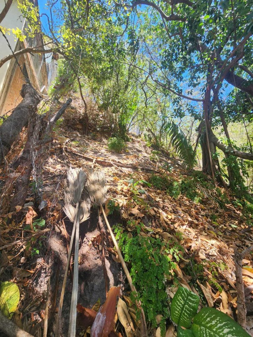 20240411204721603786000000-o