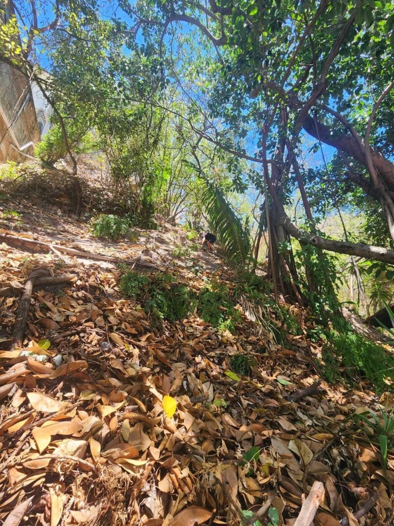 20240411204730418352000000-o