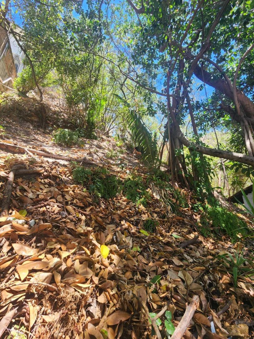 20240411204735421323000000-o