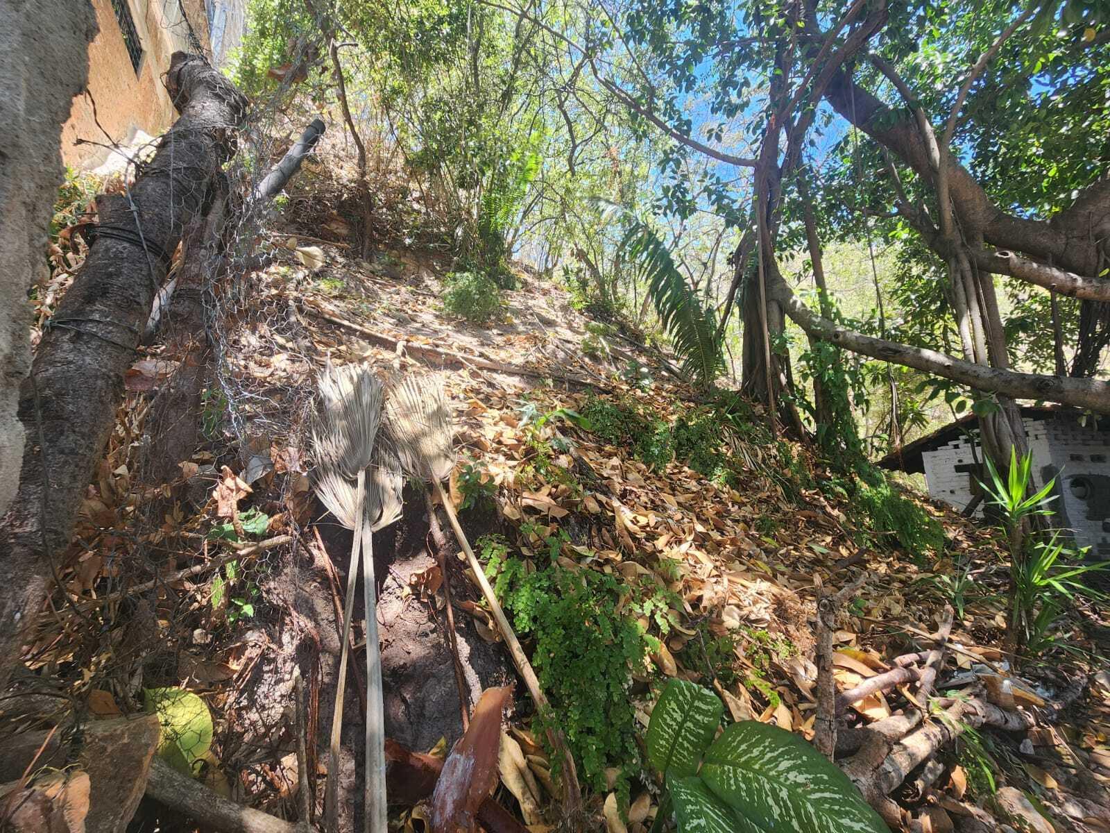 20240411204739439499000000-o