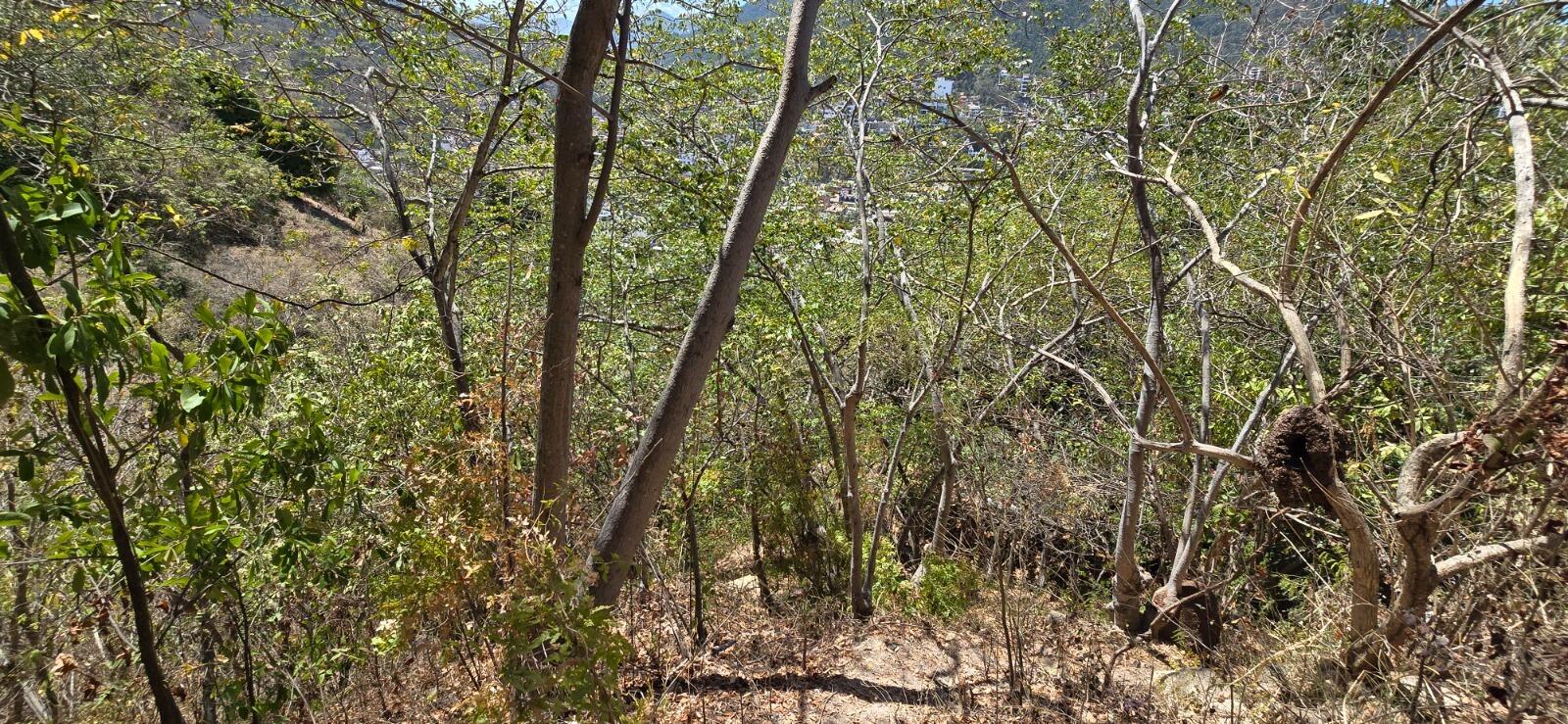 20240424184512067161000000-o