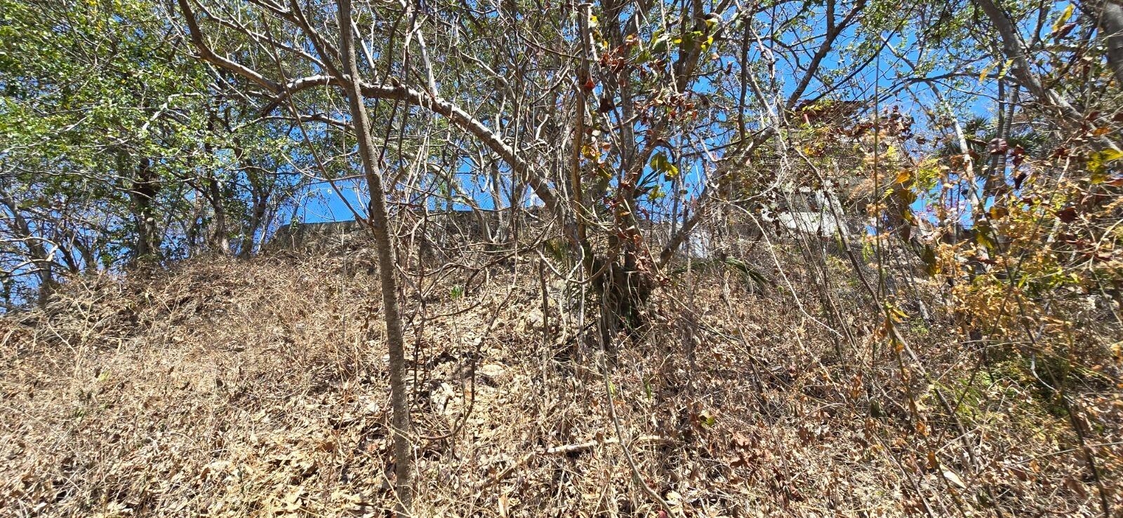 20240424184514340809000000-o