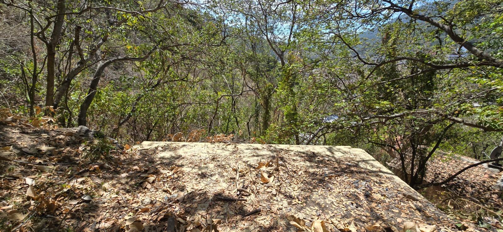 20240424184516167378000000-o