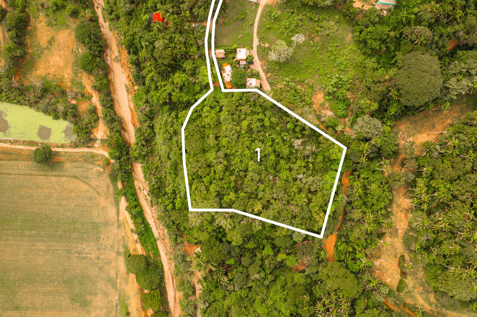 20240515150415879268000000-o