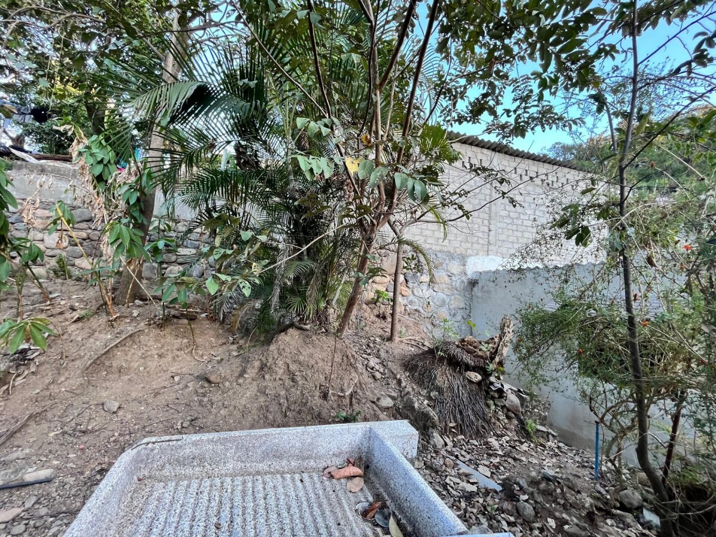 20240612044831921025000000-o