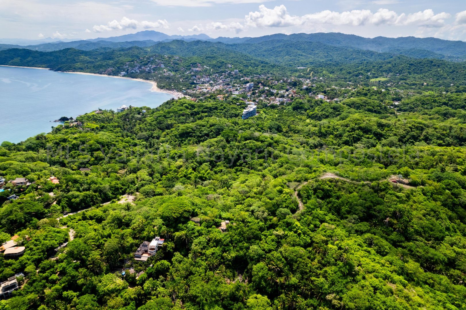 20240729175446345751000000-o