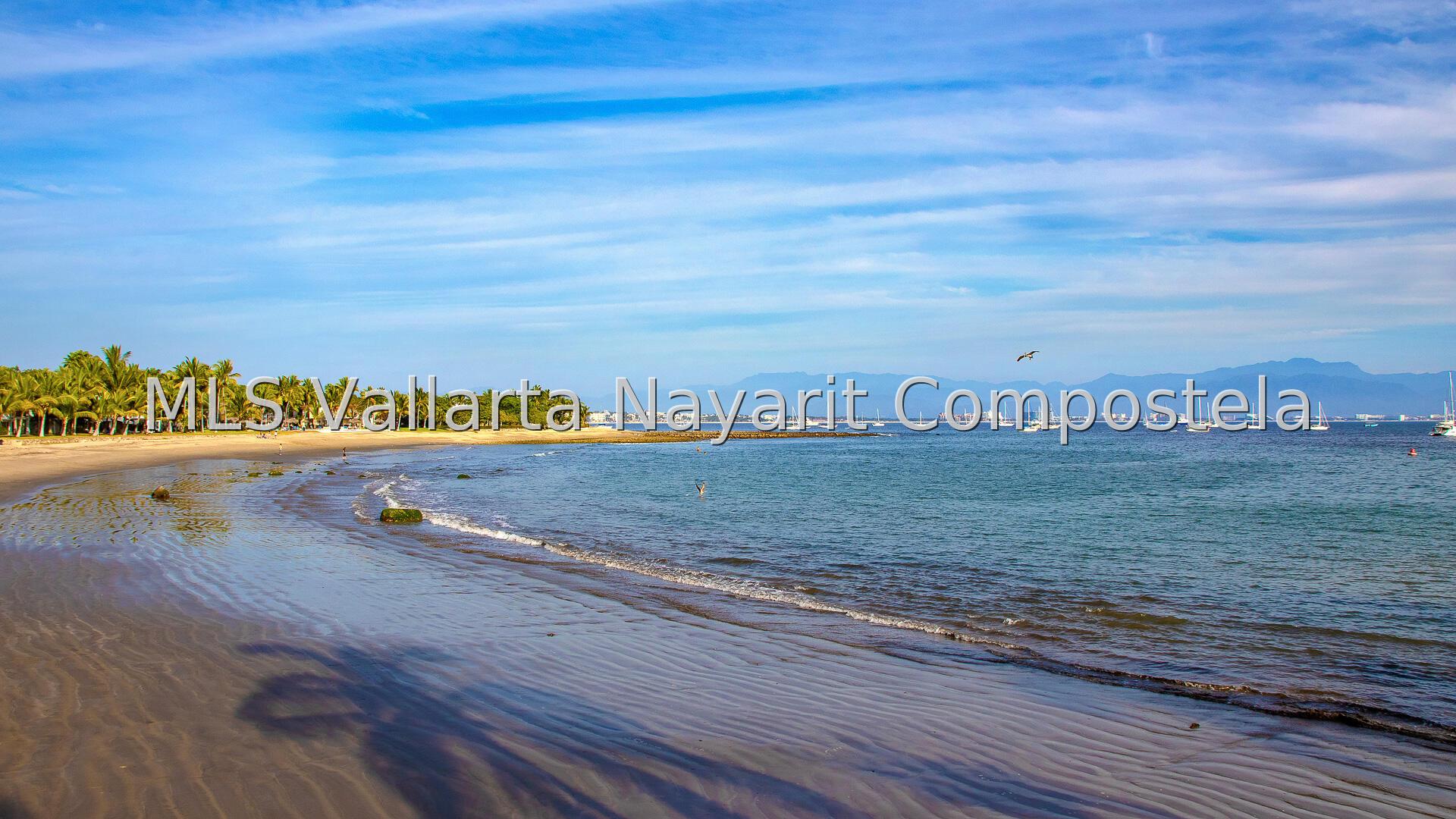 20240919222619335481000000-o