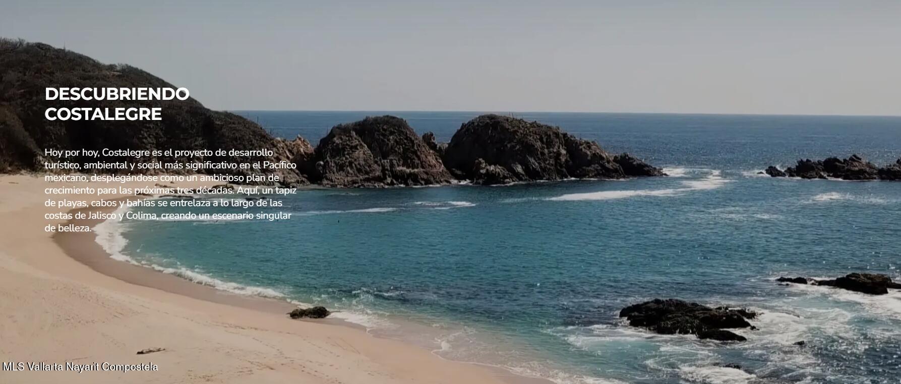 20241024202356764044000000-o