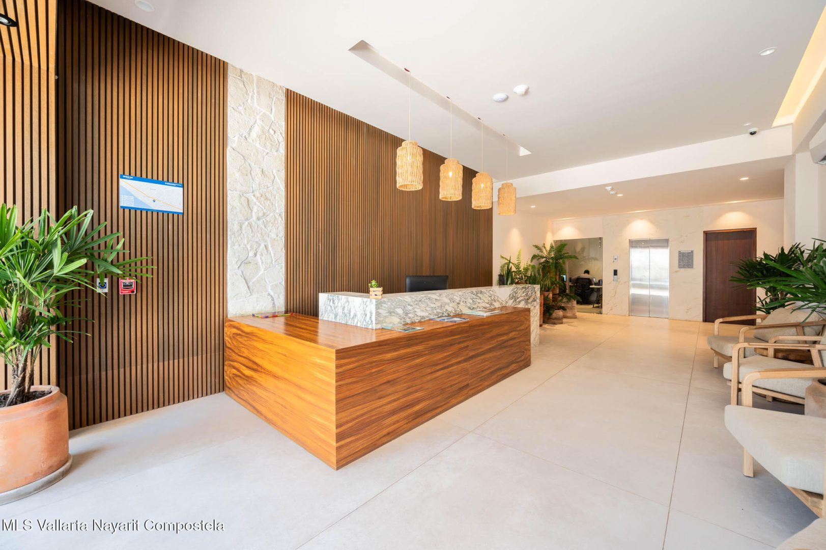 20241210211535416398000000-o