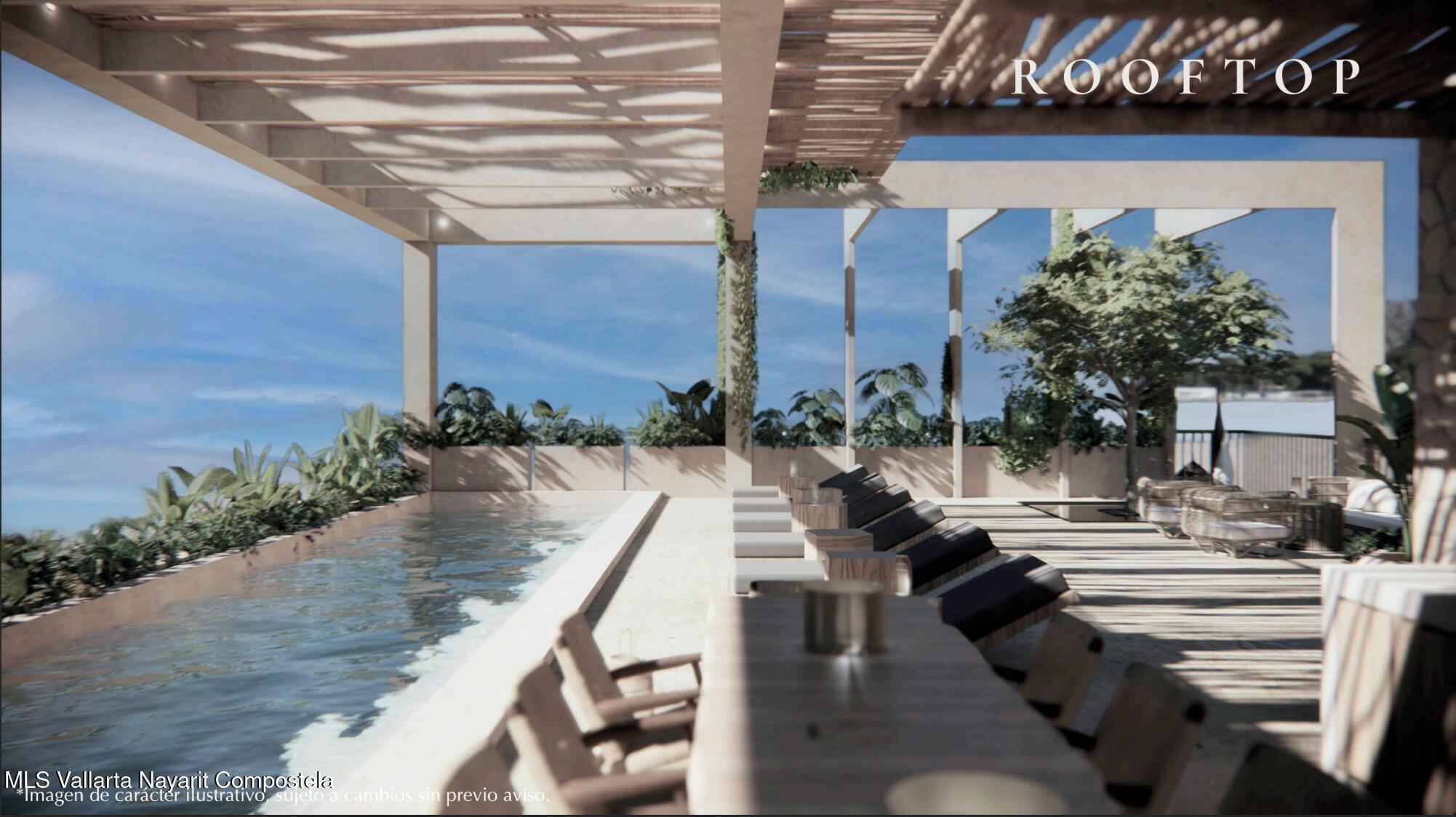 20241213220952809652000000-o