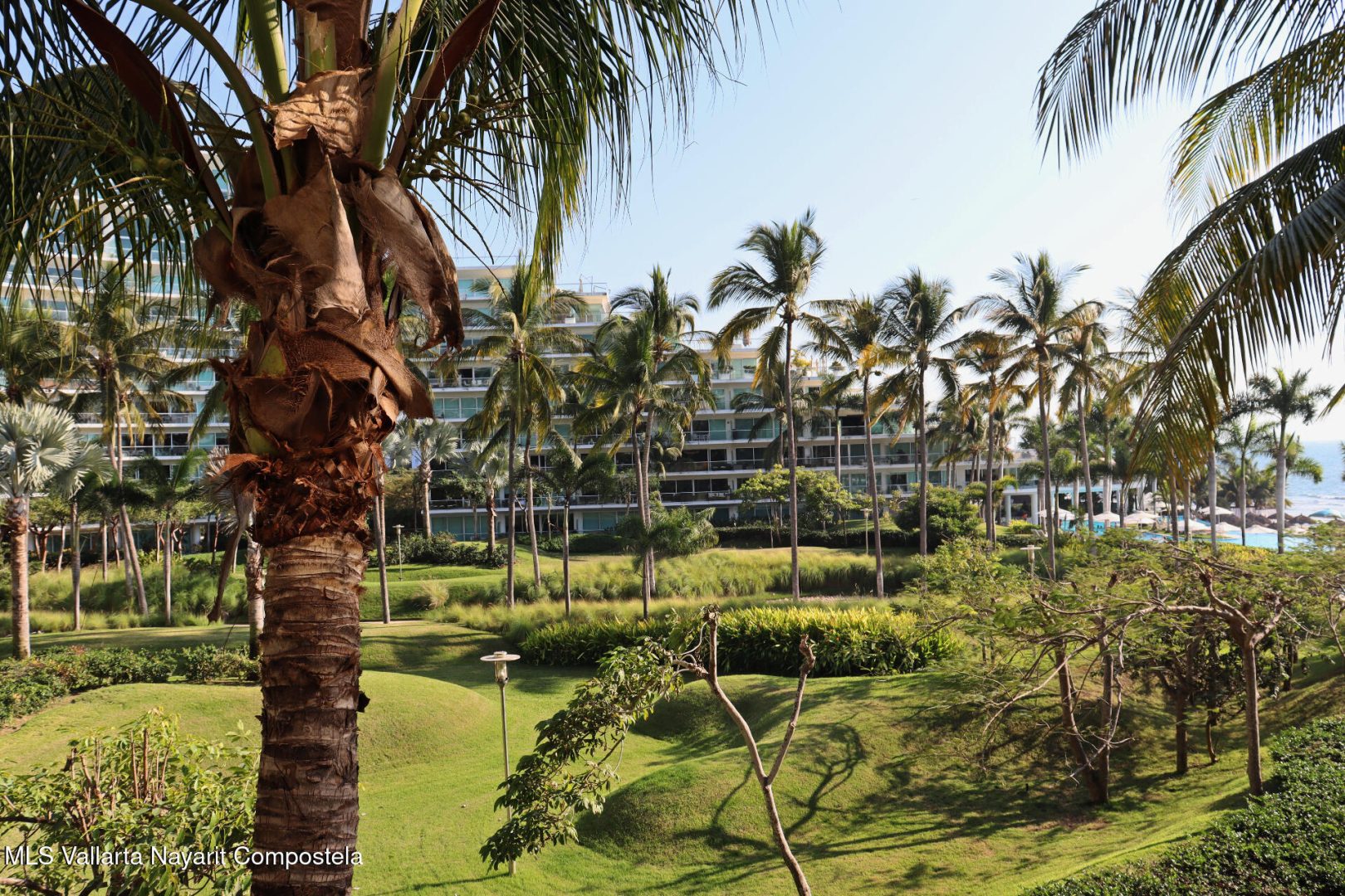 20250107191713803030000000-o