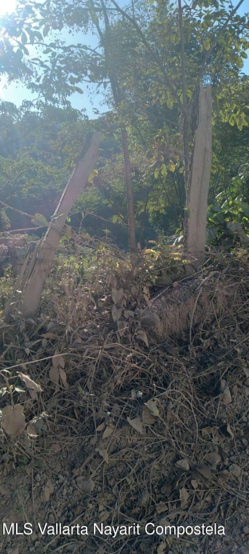 20250110230704668871000000-o