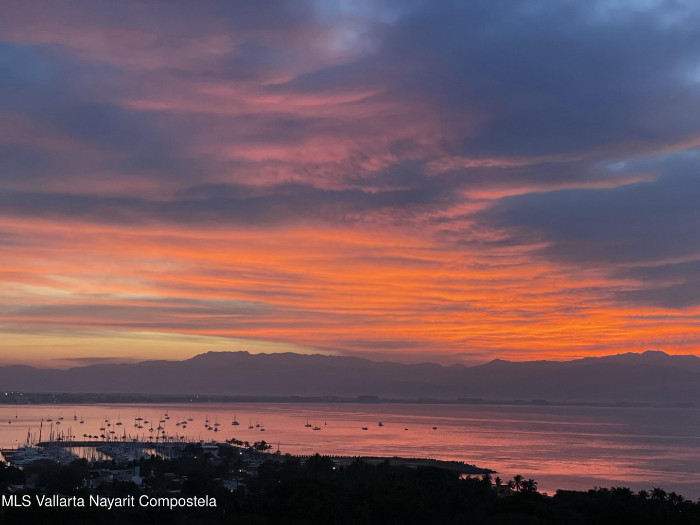 20250122231509994357000000-o