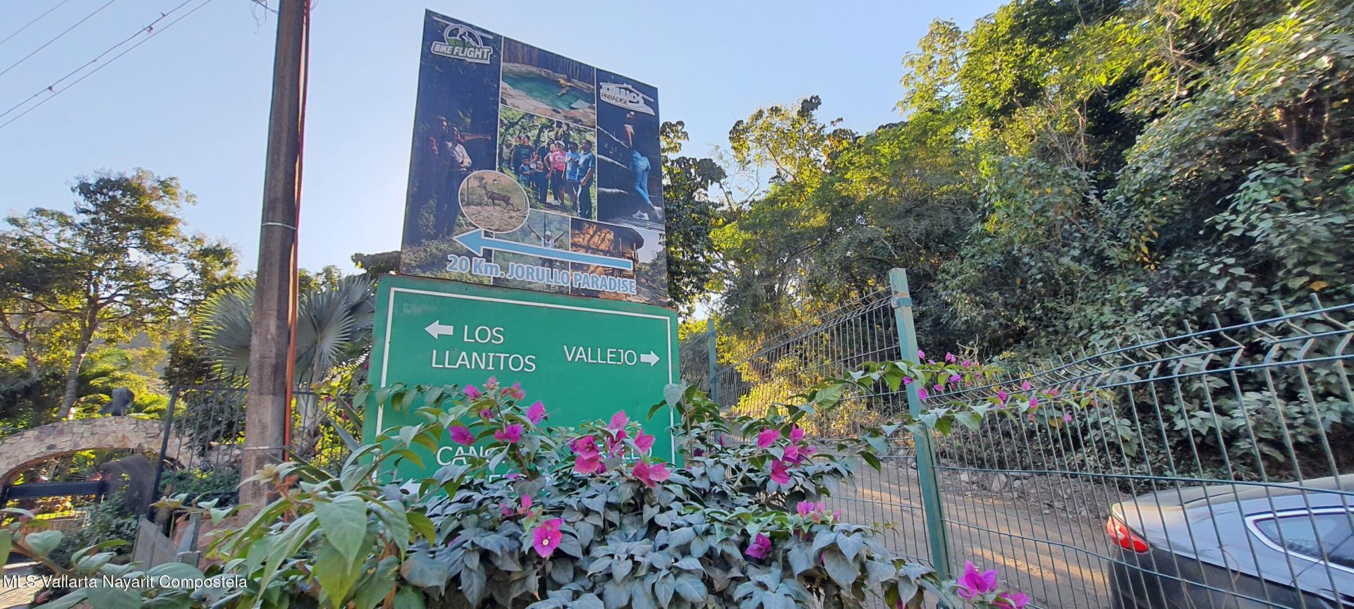 20250125010659328798000000-o