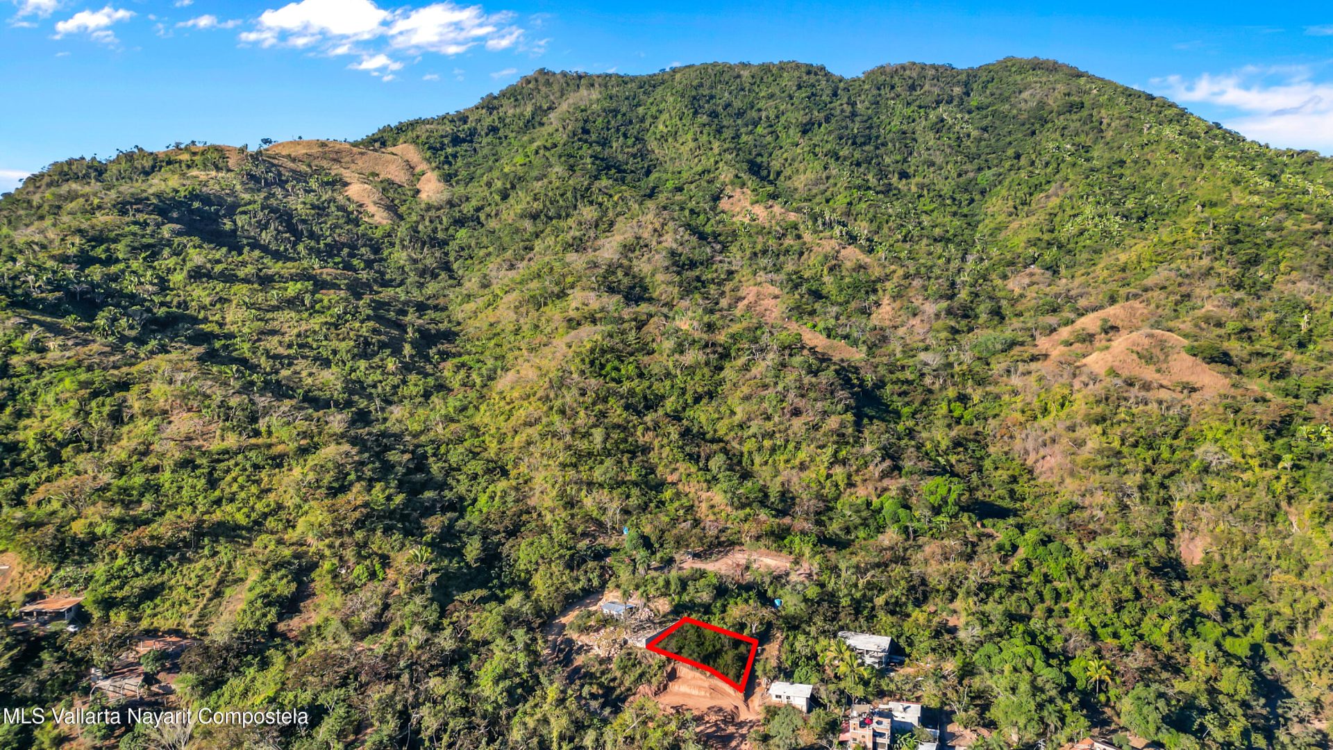 20250127153556354925000000-o