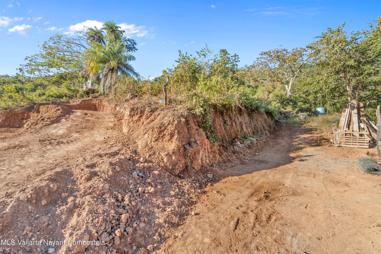 20250127153708795837000000-o