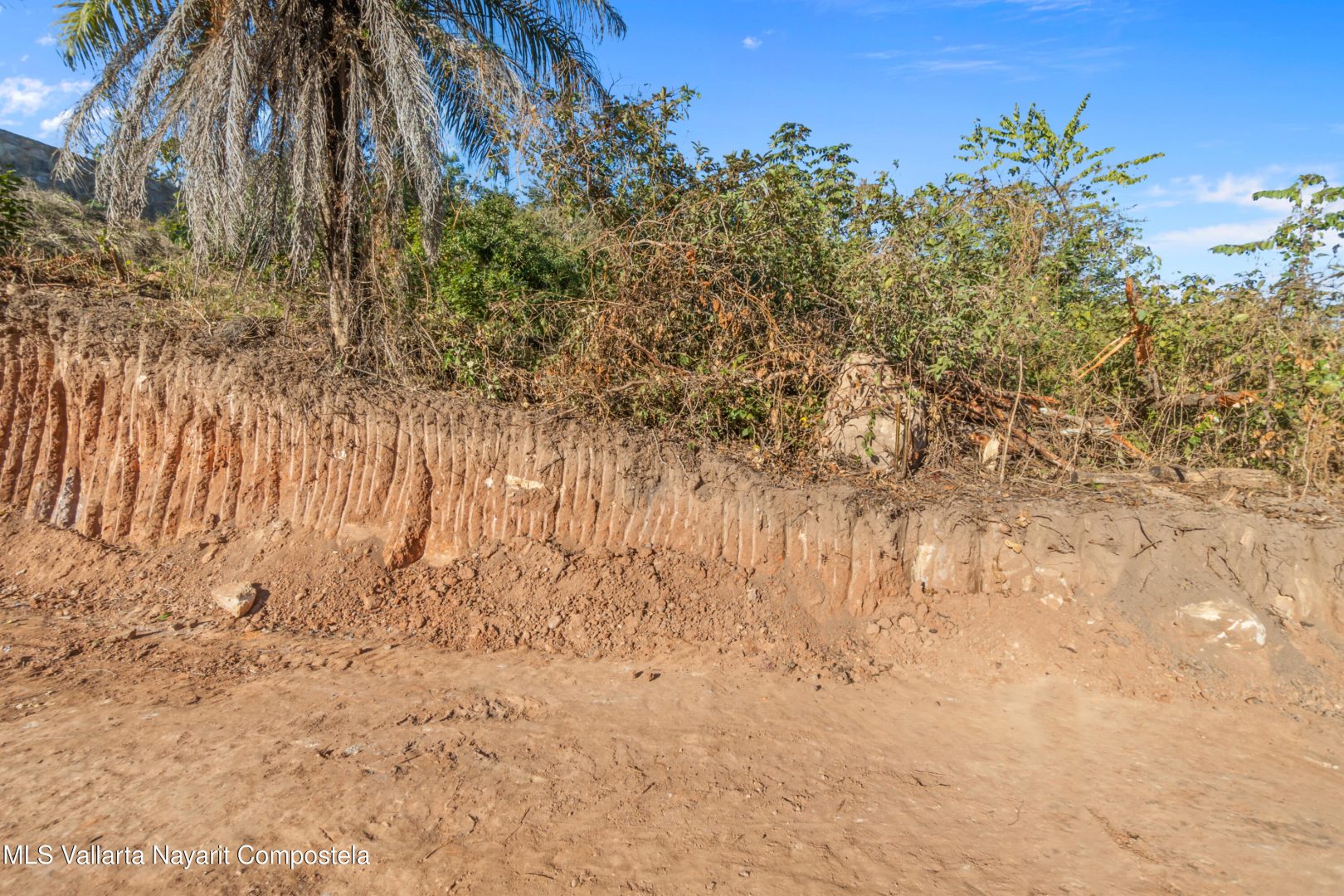 20250127153731281200000000-o