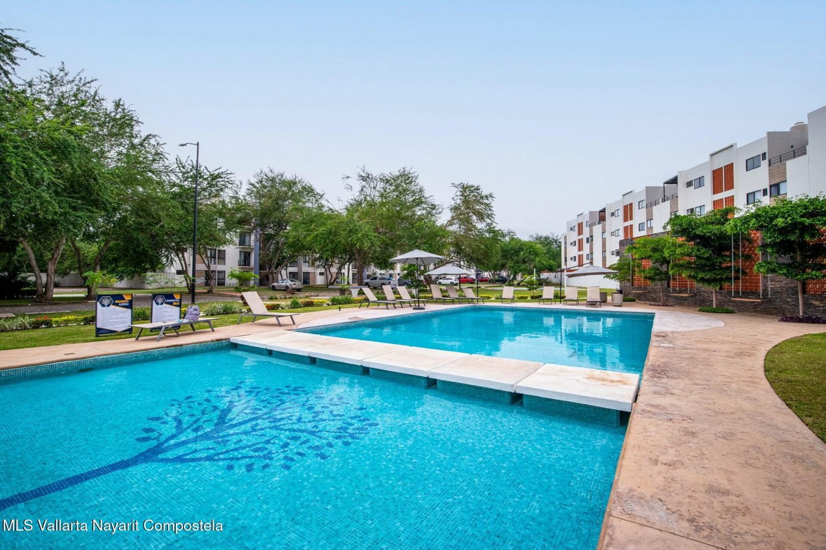 20250128181348169218000000-o