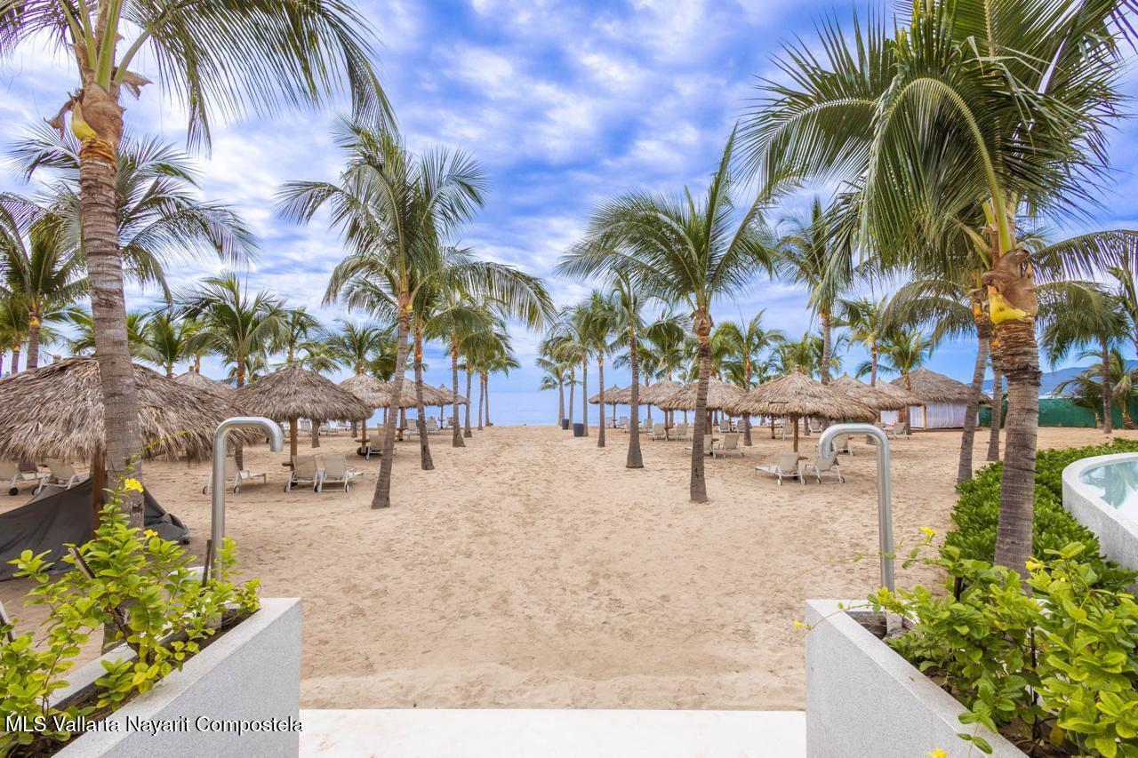 20250205200155842974000000-o